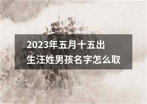 2023年五月十五出生汪姓男孩名字怎么取
