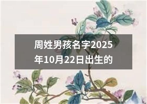 周姓男孩名字2025年10月22日出生的