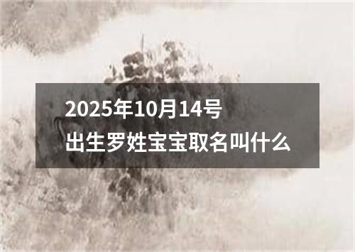2025年10月14号出生罗姓宝宝取名叫什么
